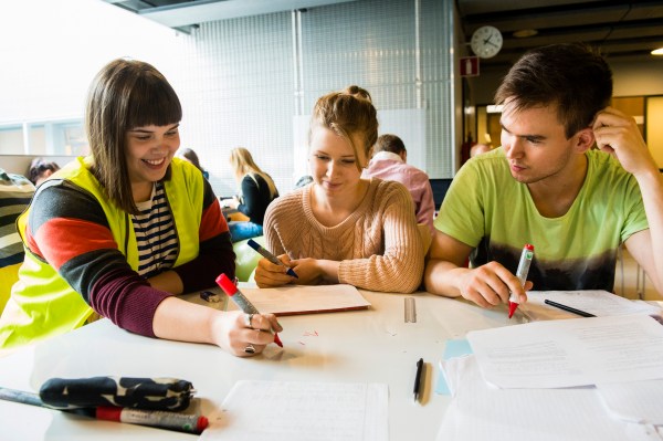 Vikberg-Oinonen-Ramo_kuva 1